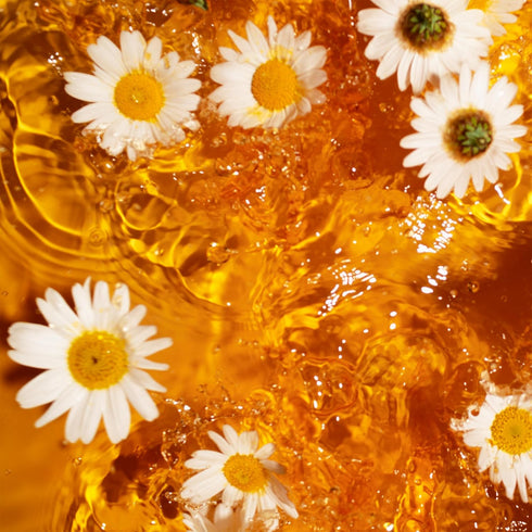 20 Lipton Golden Chamomile with Honey and Vanilla Tea Bags, caffeine free Tea, Herbal Tea, Individually Wrapped, Tea
