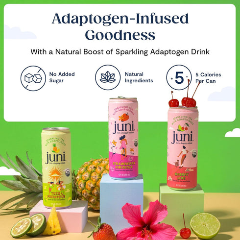 5 Pack (12 Pack) Juni Sparkling Adaptogen Drink with Ashwagandha, Lions Mane & Reishi Mushrooms | Green Tea for Focus
