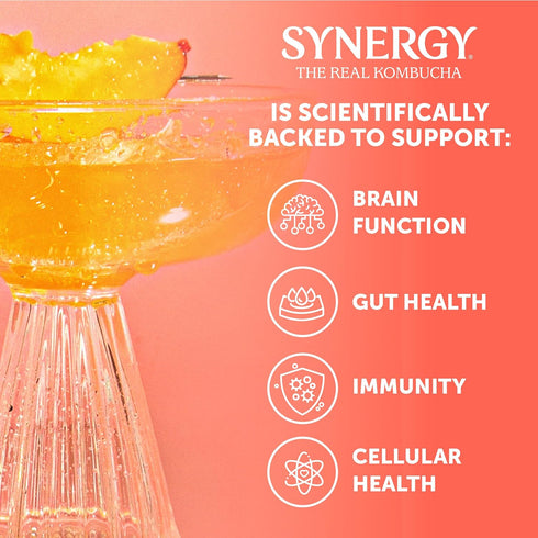16 oz Immune SYNERGY The Real Kombucha - Peach Paradise - fl Bottle - Raw Probiotic Drink for Gut Health and Support