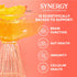 16 oz Immune SYNERGY The Real Kombucha - Peach Paradise - fl Bottle - Raw Probiotic Drink for Gut Health and Support