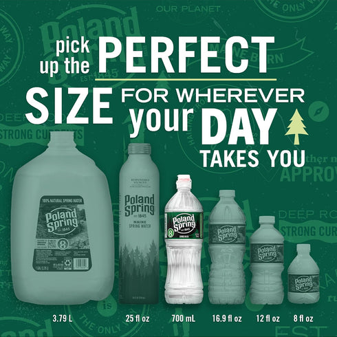 24-Pack 23.7 Oz Poland Spring Maine Spring Water Bottles with Sports Flip Cap, - Still Bottled Water with Naturally