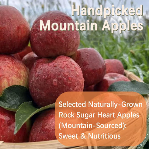 Generic 3oz Apple Slices, Dried Apples, Apple Chips, Fruit chips-No Sugar Added, Dried Fruit Snacks, Natural & Bright