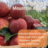 Generic 3oz Apple Slices, Dried Apples, Apple Chips, Fruit chips-No Sugar Added, Dried Fruit Snacks, Natural & Bright