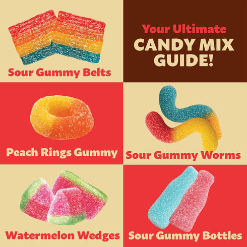 Gummy 2 Gummy Gummies Pack Candy Bulk | Pound Bag | Sweet & Sour Mix | Peach Rings, Worms, Bottles, Mini Belts