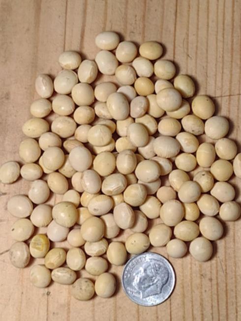5 lbs., Organic Soybeans- nonGMO, Farmer Direct, Identity Preseved, Dry Soybeans for Tofu and Soymilk.