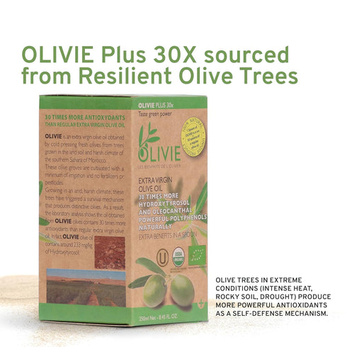 30X 250 ml Organic High Polyphenol Rich Extra Virgin Olive Oil OLIVIE PLUS | Moroccan Desert Olive Oil | EVOO |