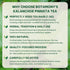 50 BOTAMONY Tea Bags Kalanchoe Pinnata Tea, Leaf of Life Plant Leaves in Filter Bags, Single-Ingredient Dried Plant