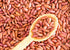5 Food to Live Light Red Kidney Beans, Pounds Whole Dried Beans, Raw, Sproutable, Vegan, Bulk. Rich in Fiber