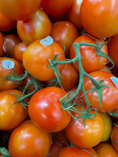 2 Lbs Kejora Fresh Tomatoes
