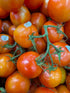 2 Lbs Kejora Fresh Tomatoes
