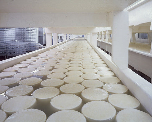 microbial rennet mix 3 6g X Microbial Rennet & Cheese Salt Mix | Rennin Cheese salt & Coagulant Tub