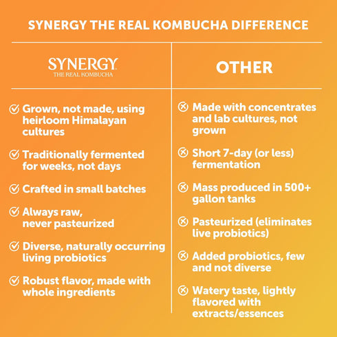 16 oz Immune SYNERGY The Real Kombucha - Gingerade - fl Bottle - Raw Probiotic Drink for Gut Health and Support