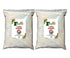 Ijebu Garri 5LB | 80oz Bag - 2 PACKS | Nigeria White