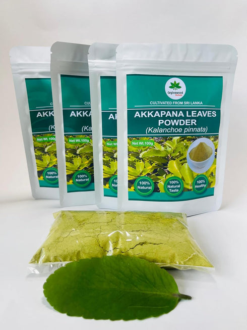 Ceylonwood Herbals 100g Organic Kalanchoe pinnata Leaves Powder (Bryophyllum Pinnatum), Miracle leaf air plants Herbal