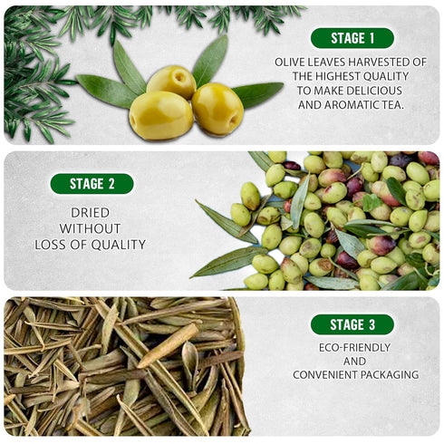 Olive Leaf Tea Loose Leaf – 8 oz Caffeine Free Herbal Tea for High Blood Pressure - Olive Leaf Whole