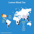 12 Oz Pack 12 22 Spindrift Brewed Iced Tea, Lemon Black Tea, Made with Real Squeezed Fruit, No Carbonation, Fl Cans