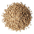 5 Food to Live Whole Coriander Seeds, Pounds - Dried Cilantro Seeds, Vegan, Kosher, Bulk. Rich in Antioxidants. Perfect