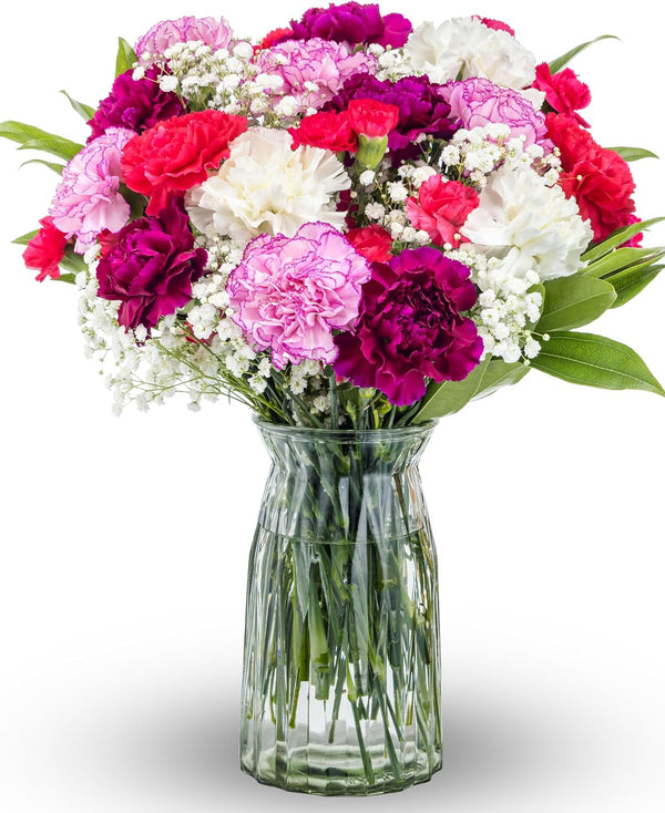 Benchmark Bouquets Carnation Flower Mix Mothers Day Flowers for Delivery Fresh Cut
