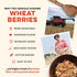 (80 (Pack 1)) Sunrise Flour Mill Heritage Hard Red Wheat Berries (Turkey Red) Ounce of Certified Organic | Non-GMO |