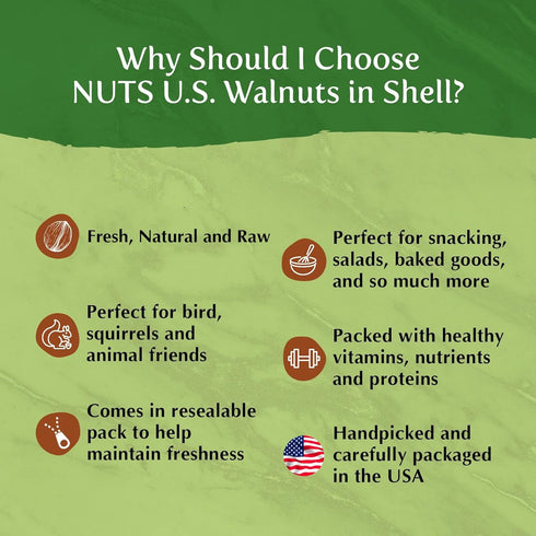 Packed (2 LBS) NUTS U.S. - Walnuts In Shell | Grown and in California | Chandler Variety | Fresh Buttery Taste and Easy
