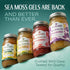 Pack 1 TrueSeaMoss Sea Moss Gel Made in USA Wildcrafted Seamoss, Fruits & Jarred Vegetables Apple/Cinnamon, of (Labels