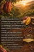 100% Grevista Pure Cocoa Powder Unmistakably Premium Quality | Bronze & Silver Medal-Winning | High flavanol | Organic