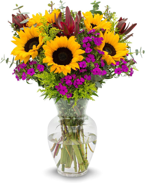 Stargazer Barn Wildflower Bouquet with Vase Mothers Day Flowers for Mom Fresh