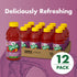 V8 Splash 16 oz (12 Pack) Berry Blend Flavored Juice Beverage, fl Bottle