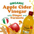 500 ml (Pack 1) Food To Live Organic Apple Cider Vinegar with Ginger and Turmeric, Raw, Italian, Unfiltered