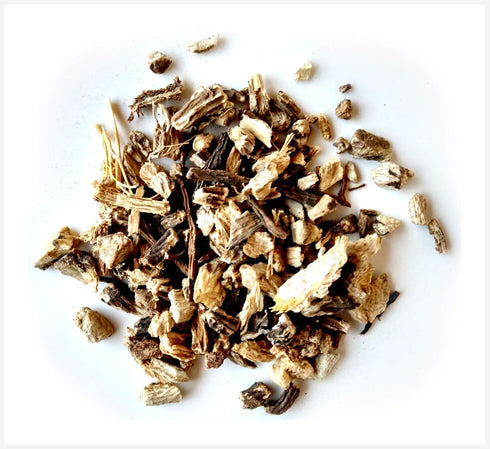Angelica Root Reiki Charged Loose Leaf Tea, Wildcrafted in Poland, 0.8 oz Bag Small Sample