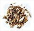 Angelica Root Reiki Charged Loose Leaf Tea, Wildcrafted in Poland, 0.8 oz Bag Small Sample