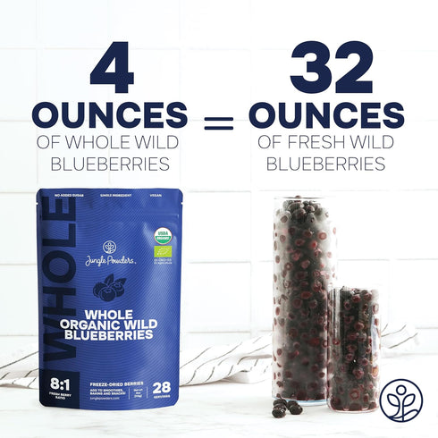 4 Frozen Bilberry Organic Blueberries Fresh Freeze Dried Fruit Ounce Bag - Made From Wild Dried Blueberries No Sugar