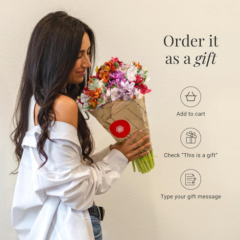 24 BloomsyBox. Multicolored Alstroemeria Bouquet Flowers, Long Lasting & Hand-Tied, Farm Fresh Cut Flowers Bouquet