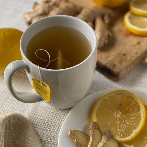 18 Count (Pack 6), 108 Bigelow Tea Lemon Ginger plus Probiotics Herbal Tea, Caffeine Free Tea with Lemon and Ginger