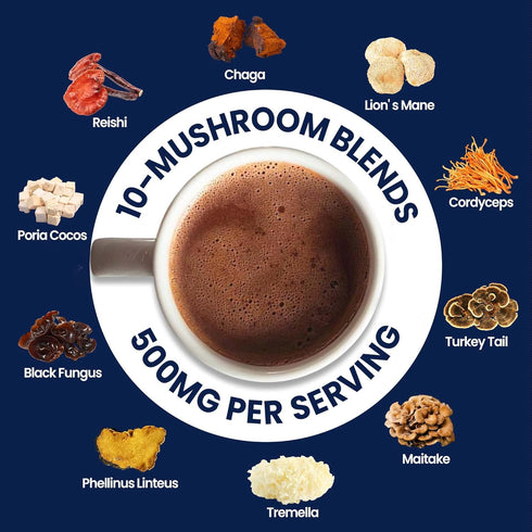 50 10 Mushroom Hot Chocolate for Calm, Servings Cocoa Powder | Mushrooms Supplements with Magnesium Glycinate