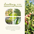 Finca Duernas Envero 500 ML) Finca Duernas Extra Virgin Olive Oil. Healthy Food Must-Have, Pantry Food Staple, Ideal
