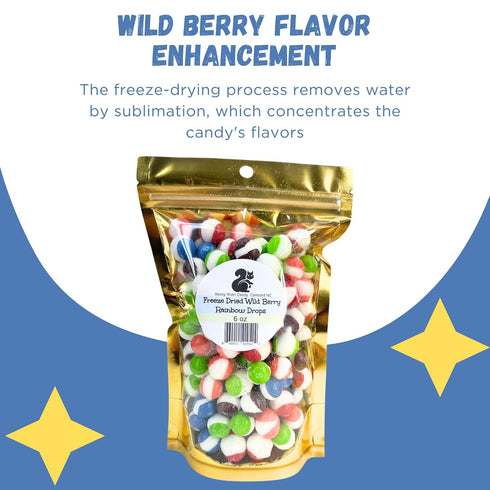 6 oz Rocky Dried Candy - Crunchy Freeze Dried Colorful Candy Wild Berry Great for Rainbow Drops Perfect for Snacking