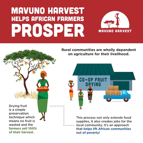 1 Mavuno Harvest Tropical Mix Dried Fruit Snack | Unsweetened Organic Mixed Dried Fruit | Gluten Free Healthy Snacks