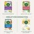 (Pack 6) 96 Traditional Medicinals Organic Raspberry Leaf Tea, Supports Healthy Pregnancy and Soothes Menstrual Cramps