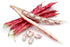 Hunza Natural Foods (2 lbs) Hunza Organic Cranberry Beans