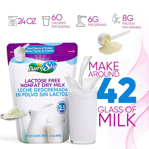 24 Oz (Pack-1) DairySky Lactose Free Milk Powder - Non GMO Fat Free Powdered Milk for Baking & Coffee, Kosher