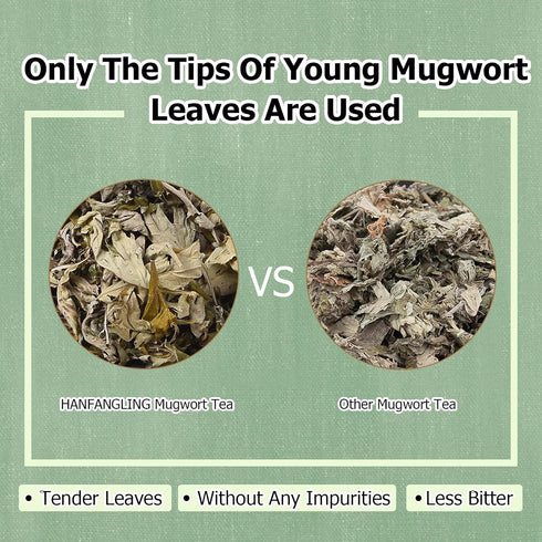 HANFANGLING Mugwort Leaf Herbal Tea - Loose Leaf Natural Mugwort Sprouts, 1.76oz