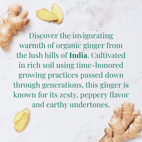 36 The Republic of Tea Organic Indian Ginger SuperHerb Tea Tin, Herbal Tea Bags, Naturally Caffeine-Free Herbs