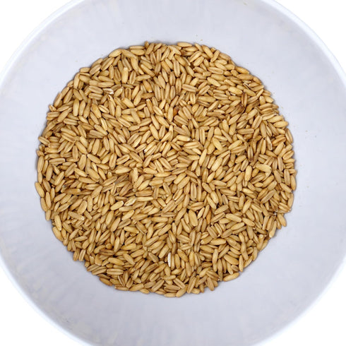 2 Whole Oat Groats, Pound Bulk Bag, Oatmeal, Breakfast, Hampton Distribution