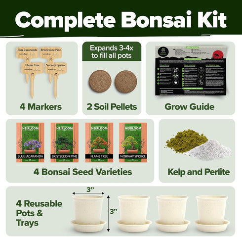 4 Bonsai Tree Kit Gifts for Men & Women - Grow Bonsai Trees - Unique Gardening Crafts for Adults, DIY Hobbies for Plant