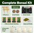 4 Bonsai Tree Kit Gifts for Men & Women - Grow Bonsai Trees - Unique Gardening Crafts for Adults, DIY Hobbies for Plant