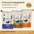 3 24 (3-Pack K-Makgeolli DIY Kit - Traditional Korean Rice Wine Making Kit Flavors (Black Raspberry, Brown Rice, Jeju