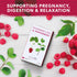 Nutra Tea - Raspberry Leaf & Peppermint Tea, Herbal Tea for Pregnancy & Expectant Mothers - 40 Tea Bags (2 Pack)
