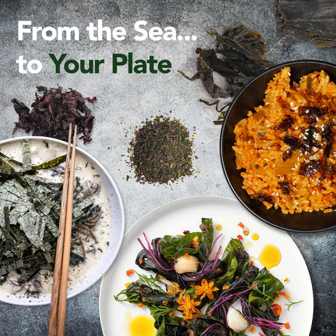 (4 oz) VITAMINSEA Sea Lettuce Dried Seaweed | Wild North Atlantic Seaweed for Snacking, Seasoning, Soups & Salads |