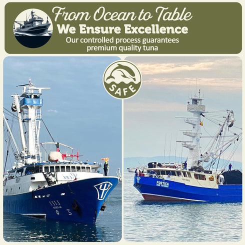 12 Pack 5 Oz 24g ONBOARD Premium Yellowfin Tuna in Olive Oil - Solid Light Cans Sustainably Wild Caught Canned Tuna